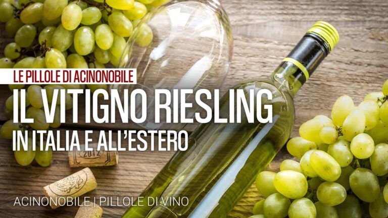 Il Riesling, l'eccellenza del vino
